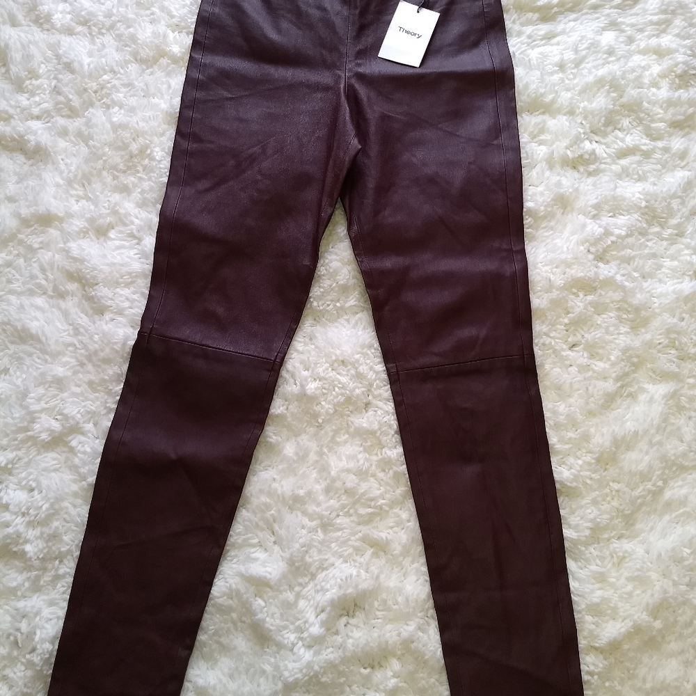 Theory all leather leggings